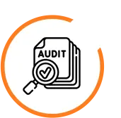 audit icon